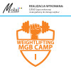 logo, opracowanie logo, tanie logo, logotyp, firma robiąca logo, pomysl logo, logo wektor, tanie logo, tworzenie logo, Molai, pofesjonalne logo dla firmy, #molaireklama